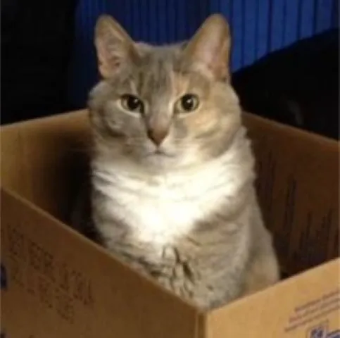 Tippecanoe Veterinary Hospital Picture 5