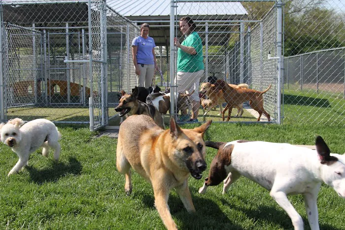 Tipp City Veterinary Hospital Picture 1