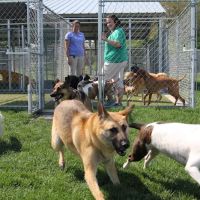 Tipp City Veterinary Hospital ico