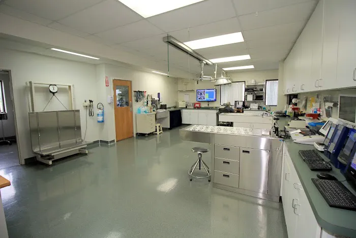 Tipp City Veterinary Hospital Picture 3