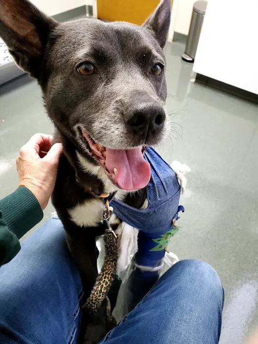 Tipp City Veterinary Hospital Picture 6