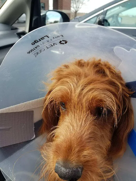 Tipp City Veterinary Hospital Picture 7