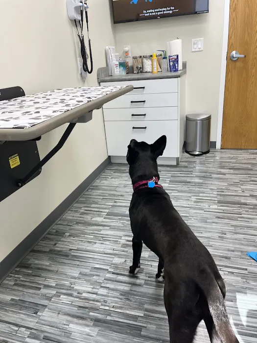 Tipp City Veterinary Hospital Picture 9