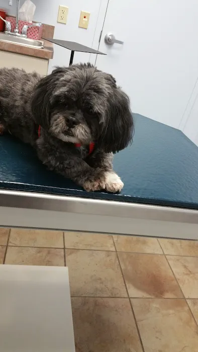 Cloud Park Animal Clinic Picture 1