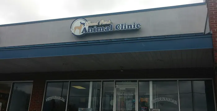 Cloud Park Animal Clinic Picture 4