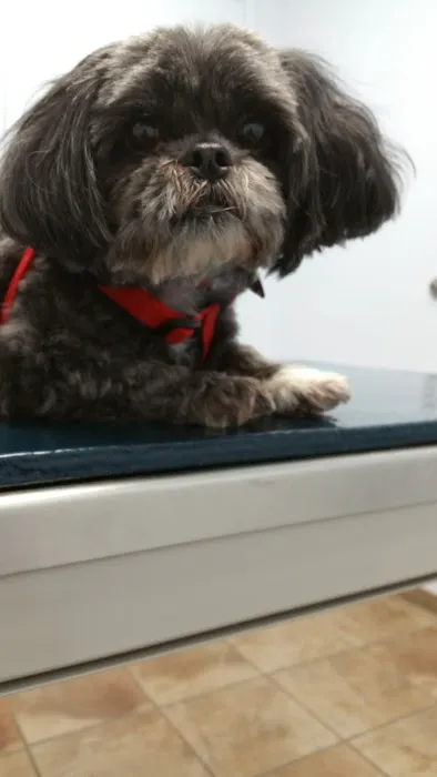 Cloud Park Animal Clinic Picture 7