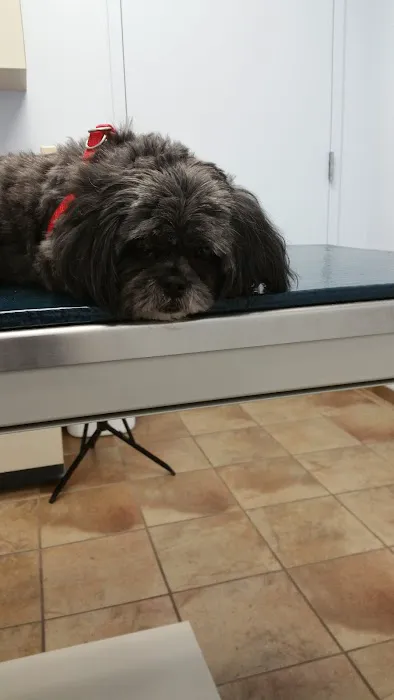 Cloud Park Animal Clinic Picture 8