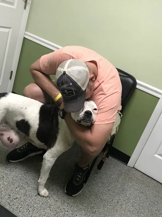 Dixie Veterinary Clinic Picture 3