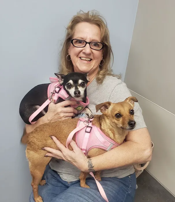Dixie Veterinary Clinic Picture 2