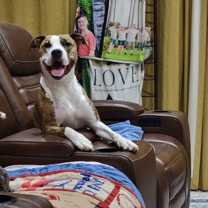Dixie Veterinary Clinic Picture 8