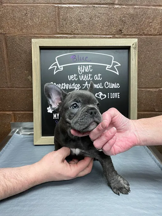 Northridge Animal Clinic Picture 7