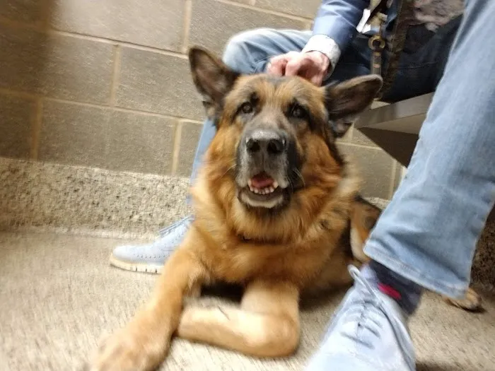 Northridge Animal Clinic Picture 9