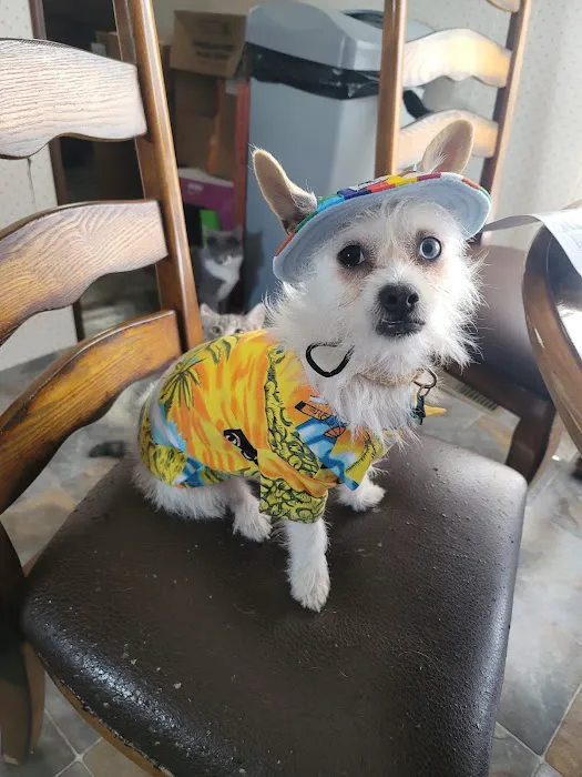 Irwin Animal Hospital Picture 6