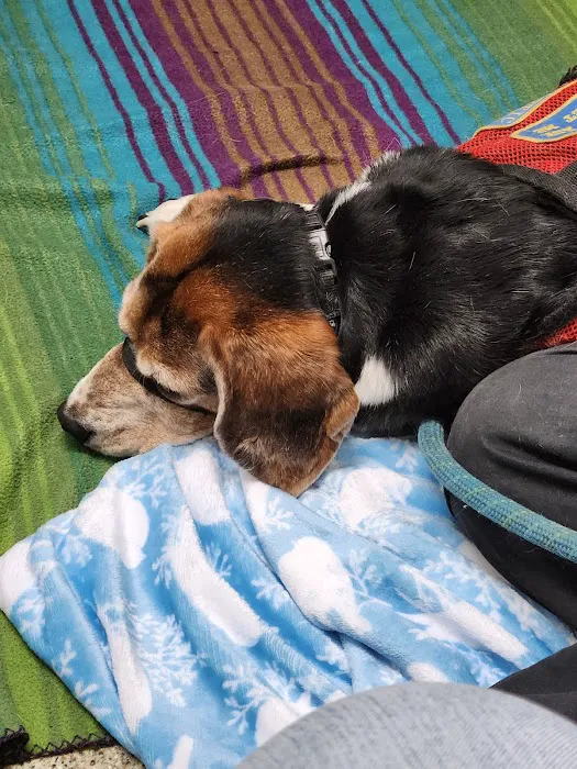 Irwin Animal Hospital Picture 9