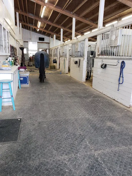 Woodland View Equine Services Inc Picture 3