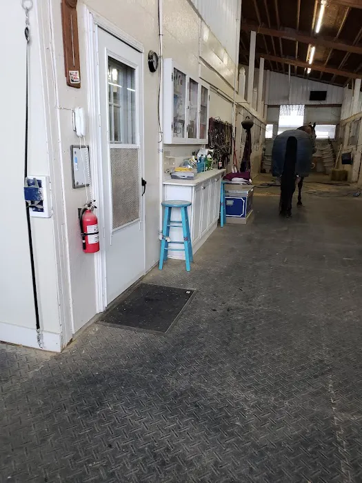 Woodland View Equine Services Inc Picture 6