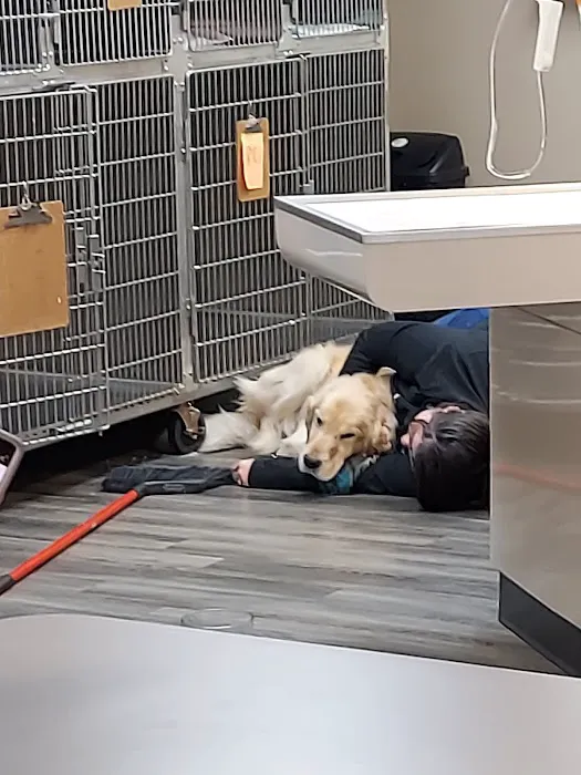 Beechmont Pet Hospital Picture 7