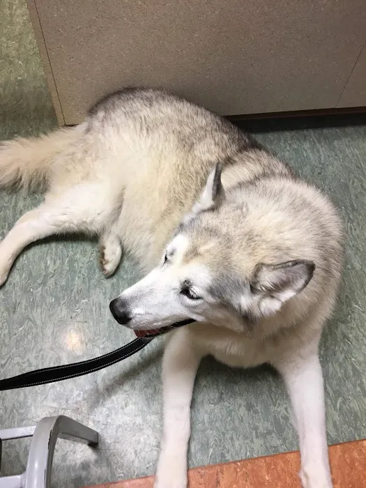 Beechmont Pet Hospital Picture 8
