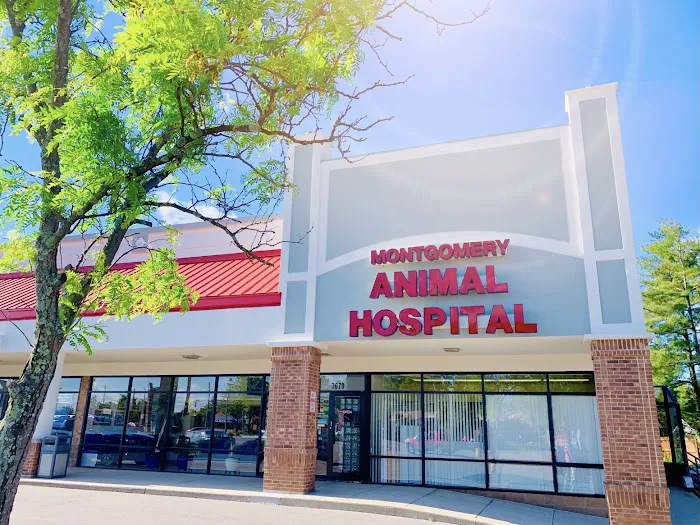 Montgomery Animal Hospital Picture 3