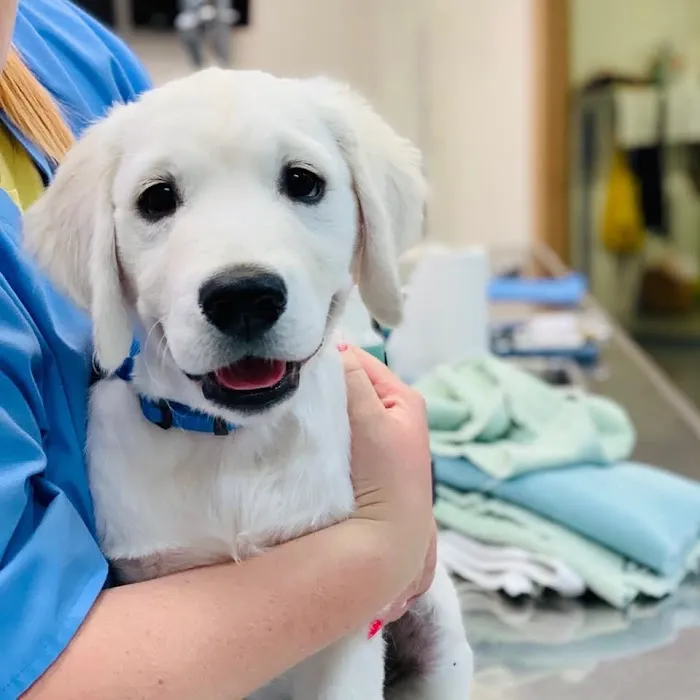 Montgomery Animal Hospital Picture 5