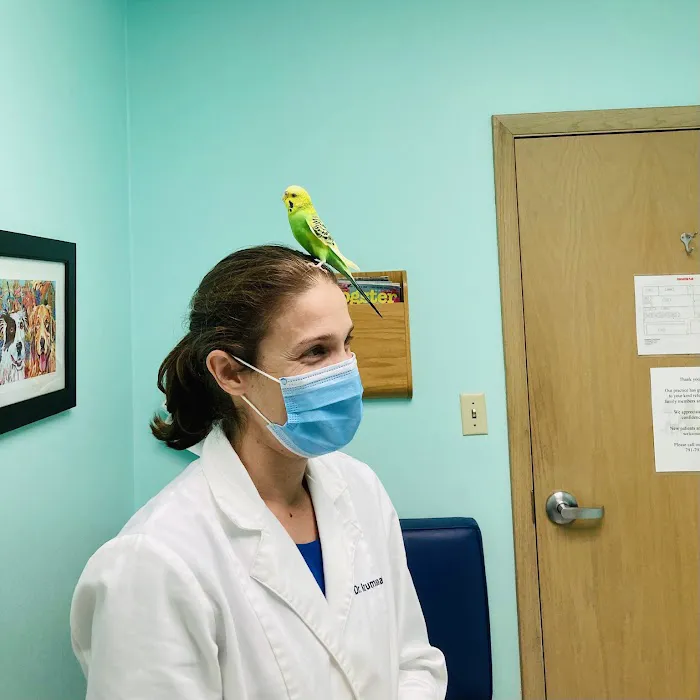 Montgomery Animal Hospital Picture 8