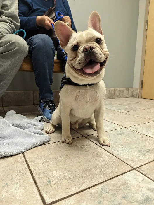 Deer Park Veterinary Hospital Picture 2