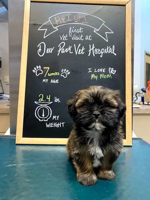 Deer Park Veterinary Hospital Picture 5