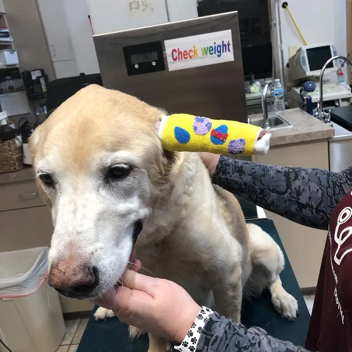 Deer Park Veterinary Hospital Picture 4