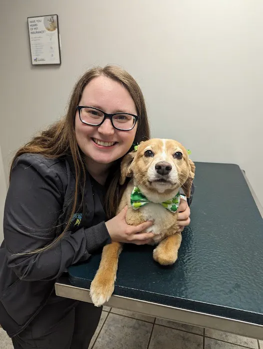 Deer Park Veterinary Hospital Picture 9