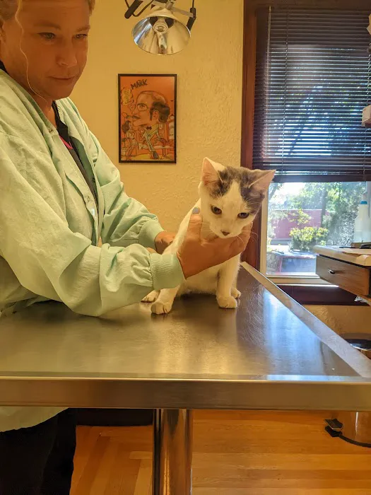 Appletree Pet Clinic Picture 2