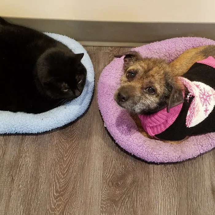 Jaax Veterinary Hospital Picture 4