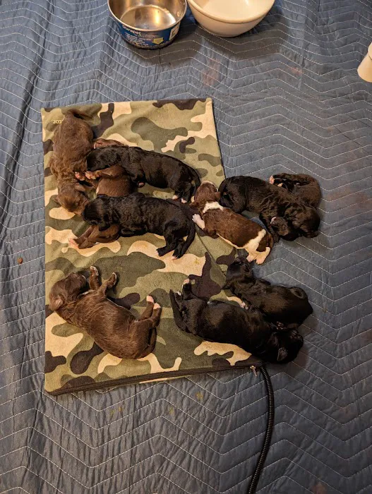 Cincinnati Animal Medical Center Picture 6