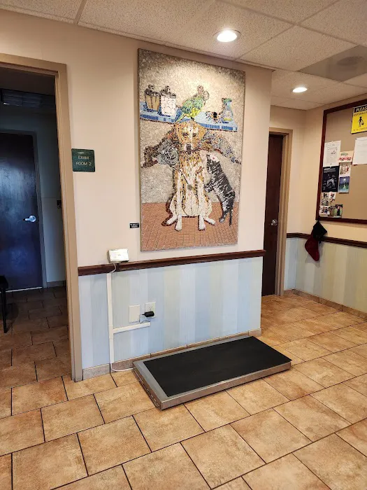 Cincinnati Animal Medical Center Picture 8