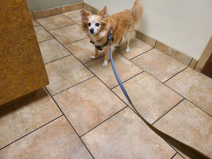 Cincinnati Animal Medical Center Picture 7