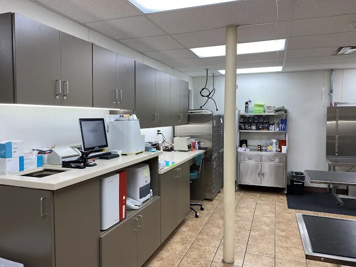 Hills and Dales Veterinary Clinic Picture 2