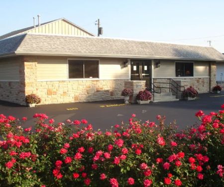 Hills and Dales Veterinary Clinic