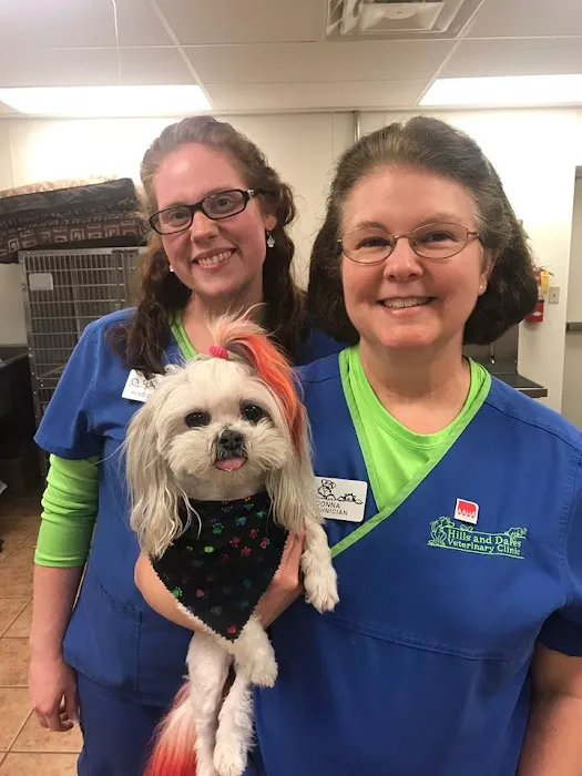 Hills and Dales Veterinary Clinic Picture 4