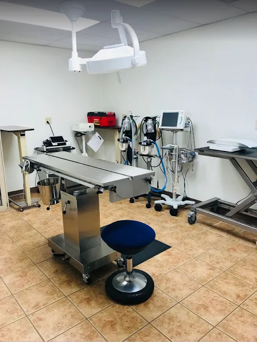 Hills and Dales Veterinary Clinic Picture 6