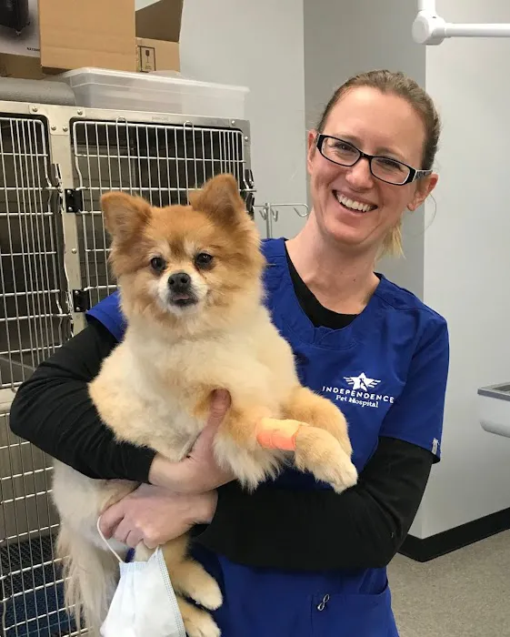 Independence Pet Hospital Picture 2