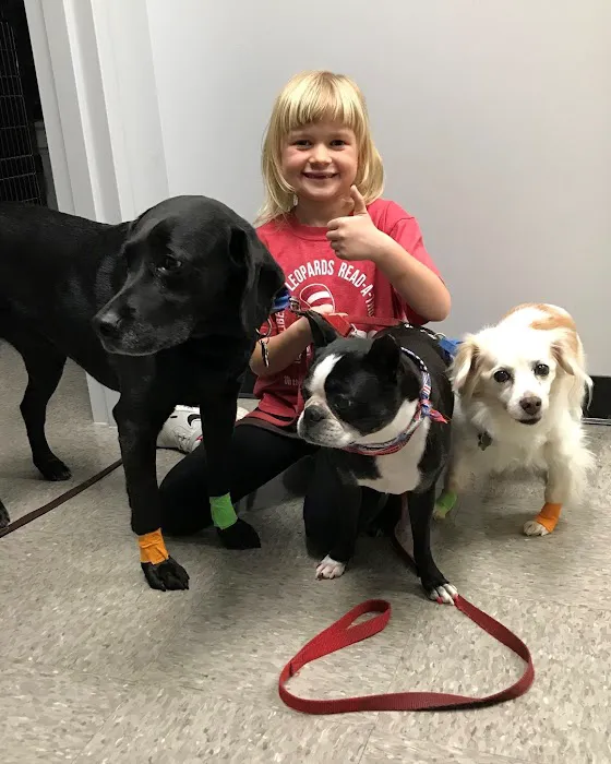 Independence Pet Hospital Picture 1