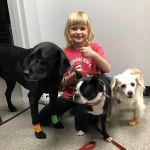 Independence Pet Hospital