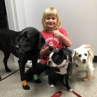 Independence Pet Hospital ico