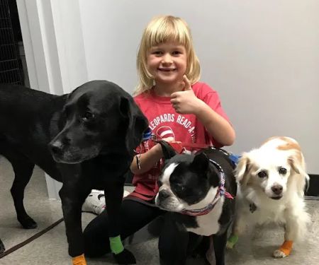Independence Pet Hospital