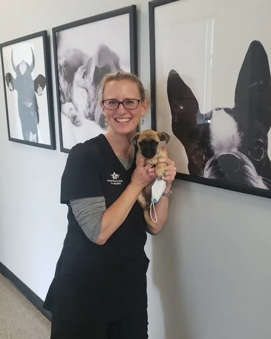 Independence Pet Hospital Picture 4