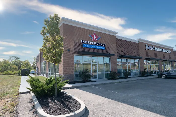 Independence Pet Hospital Picture 5