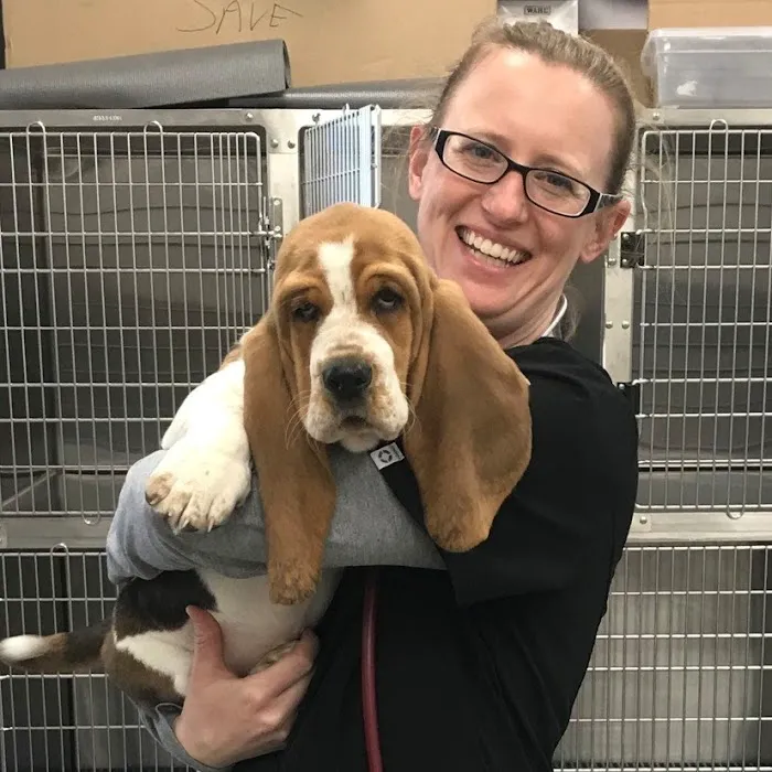 Independence Pet Hospital Picture 7
