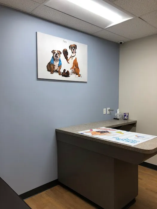 Monroe Family Pet Hospital Picture 4