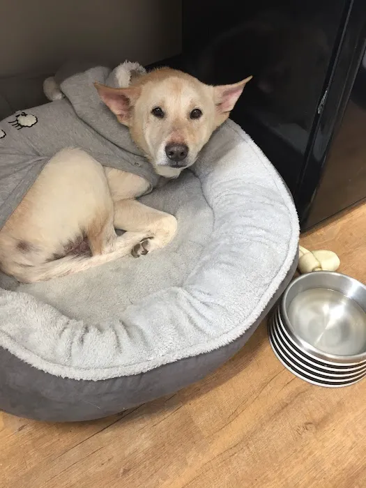 Monroe Family Pet Hospital Picture 8