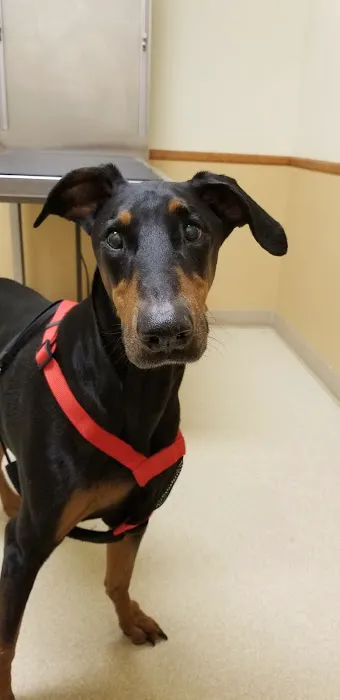 Western Hills Veterinary Clinic Picture 9