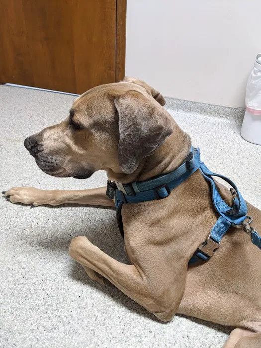 Trenton Animal Hospital Picture 2